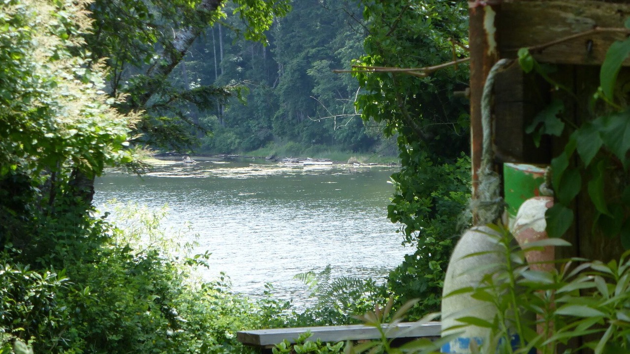 Photo of Others in Metchosin