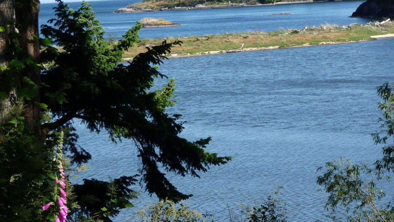 Photo of Others in Metchosin