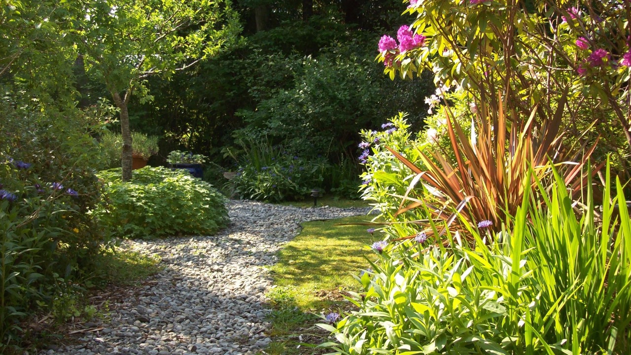 Photo of Outdoor in Tofino