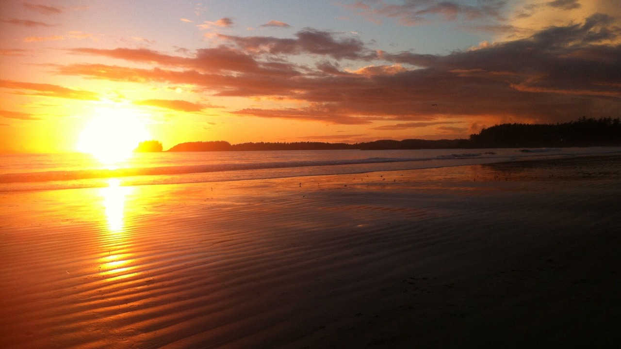 Photo of Others in Tofino