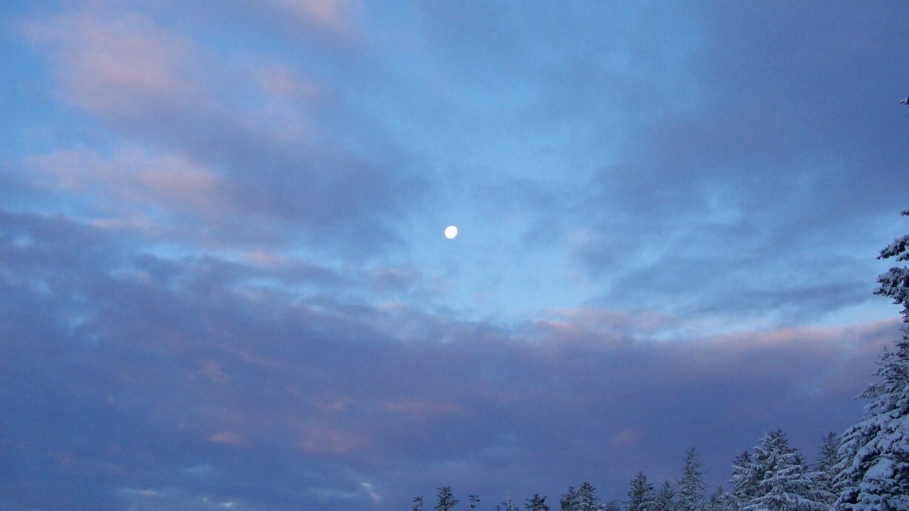 Photo of Others in Tofino