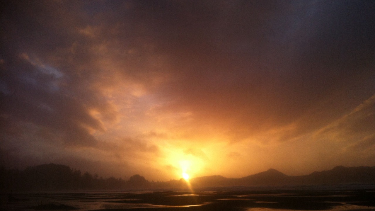 Photo of Others in Tofino