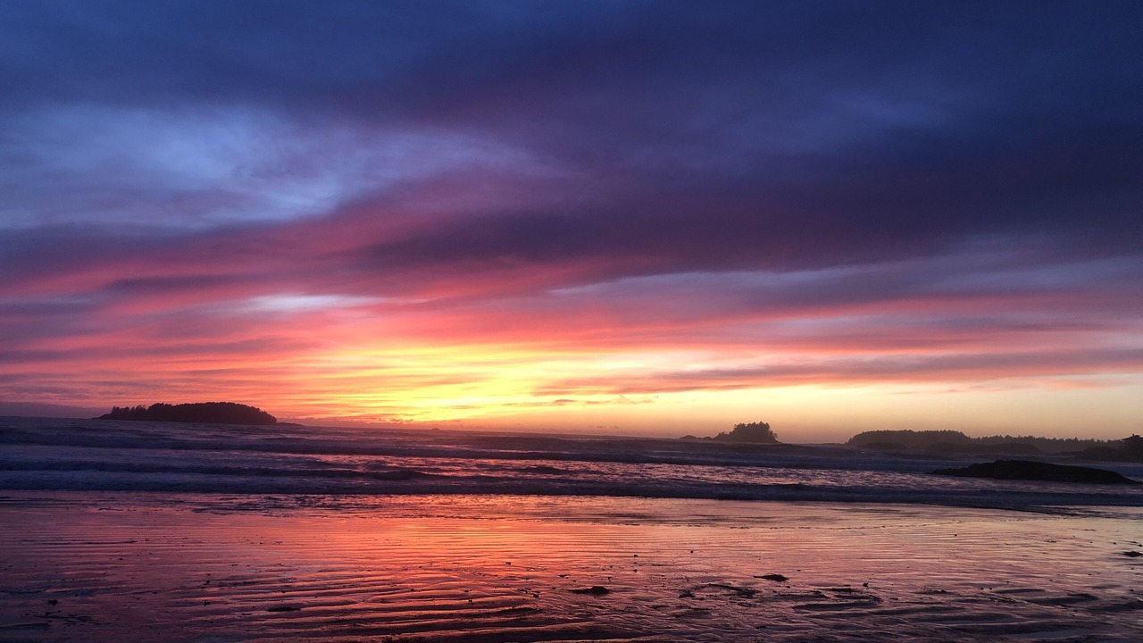 Photo of Others in Tofino