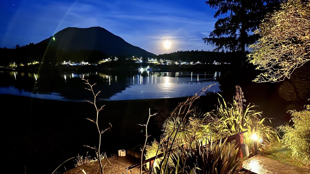 Photo of Outdoor in Ucluelet