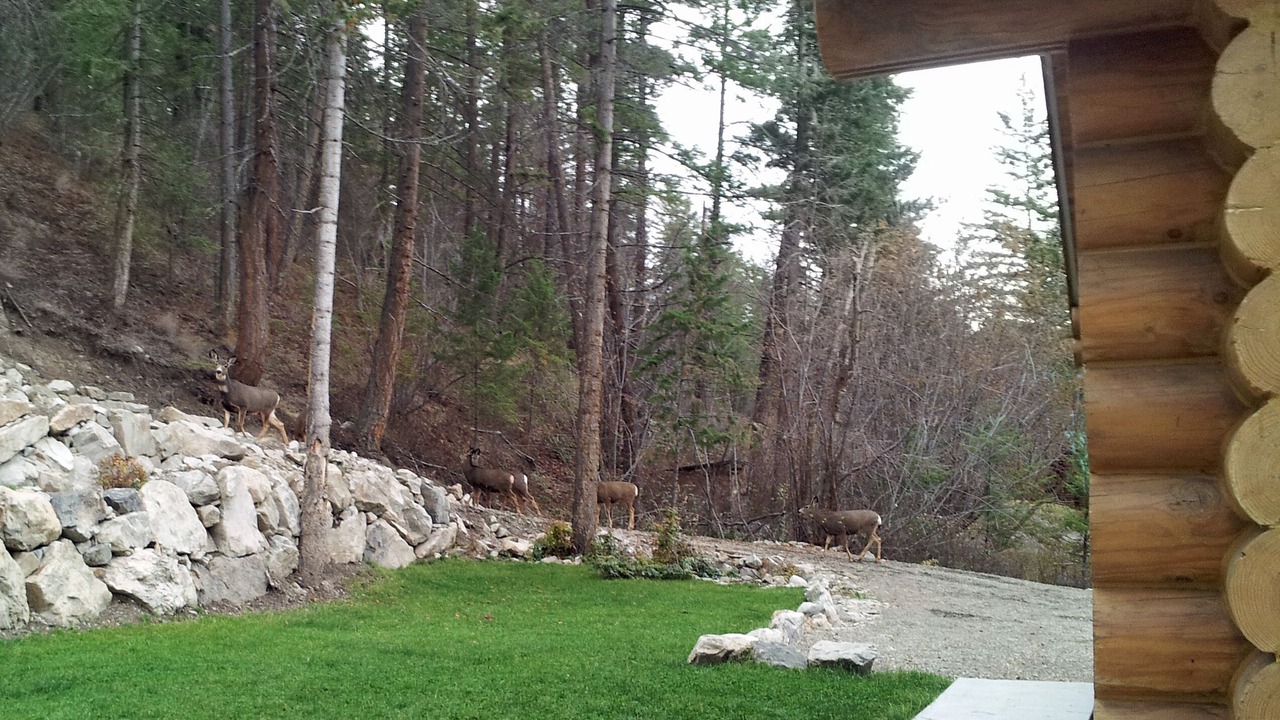 Photo of Others in Central Okanagan