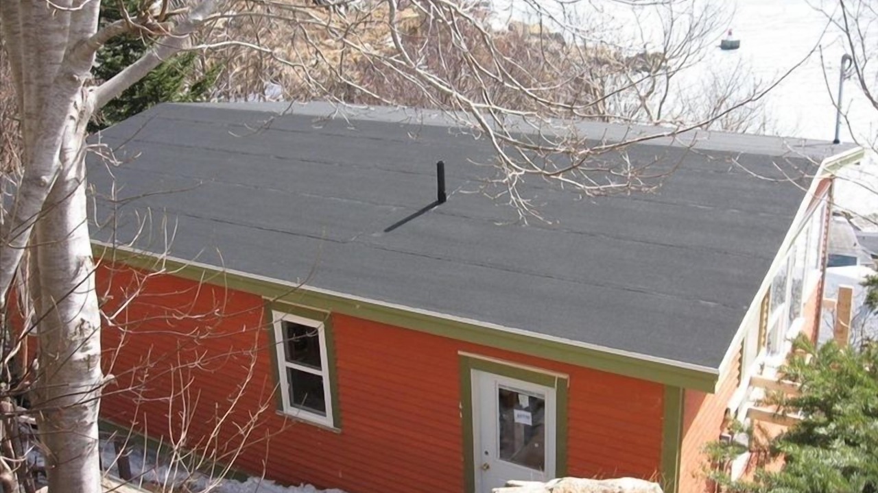 Photo of Outdoor in Downtown St. John's