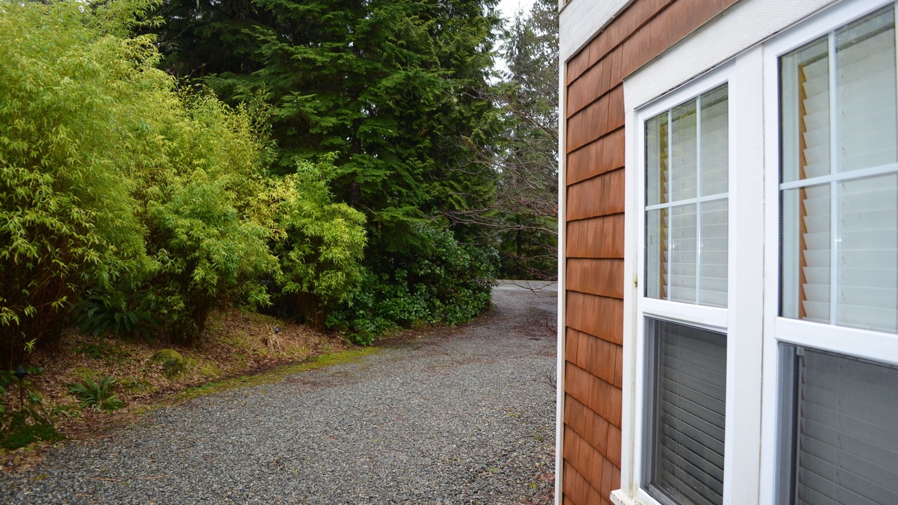Photo of Outdoor in Tofino
