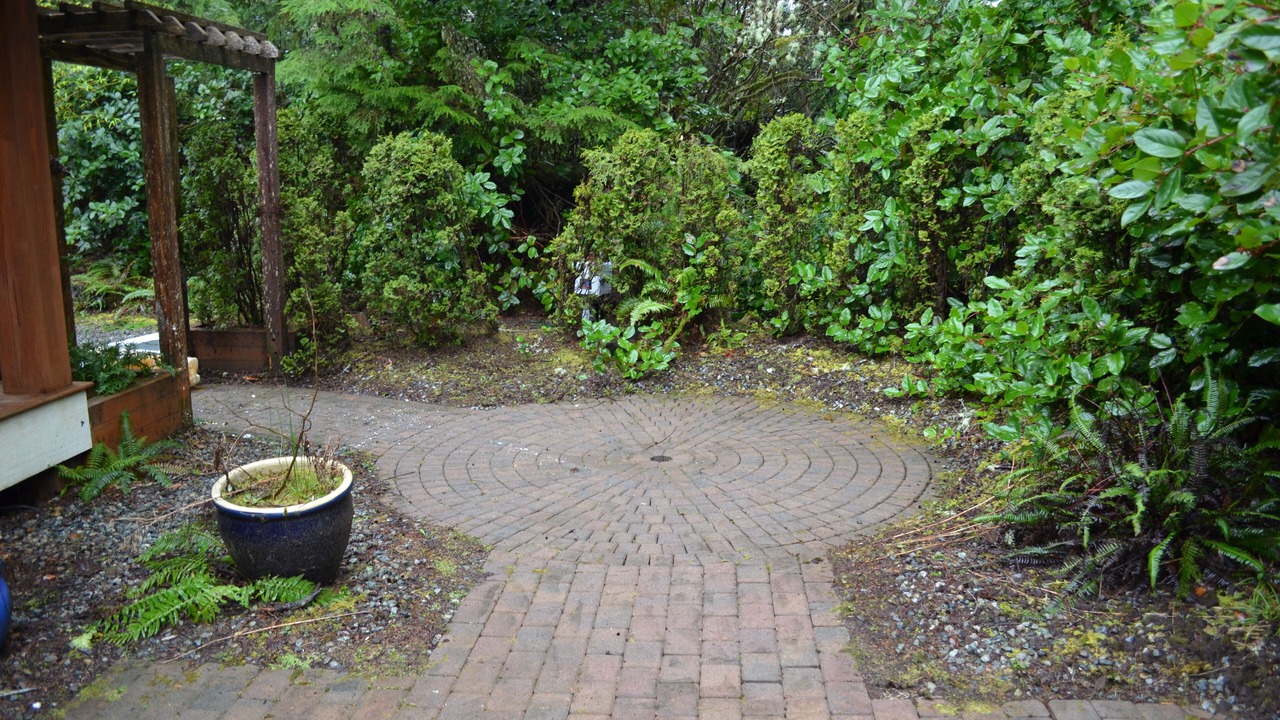 Photo of Outdoor in Tofino