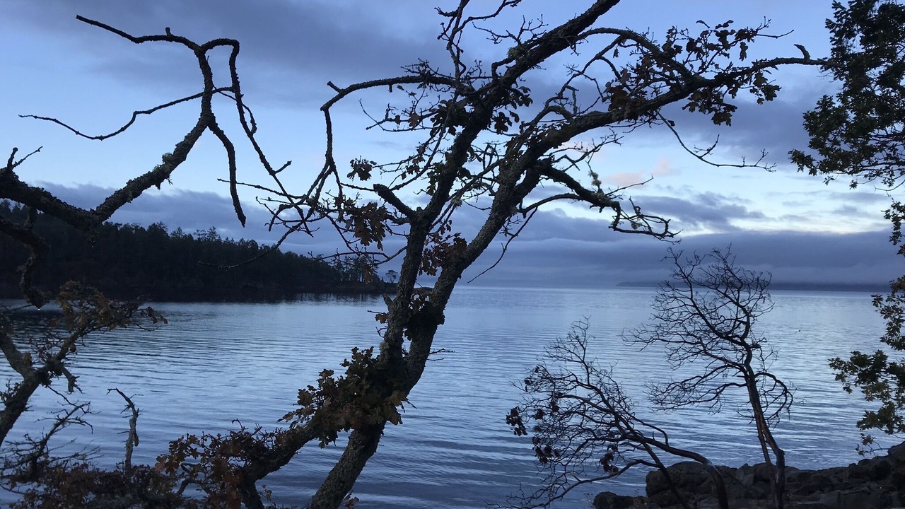 Photo of Others in Pender Island