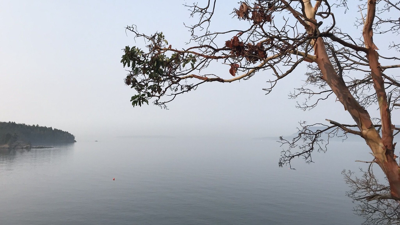 Photo of Others in Pender Island