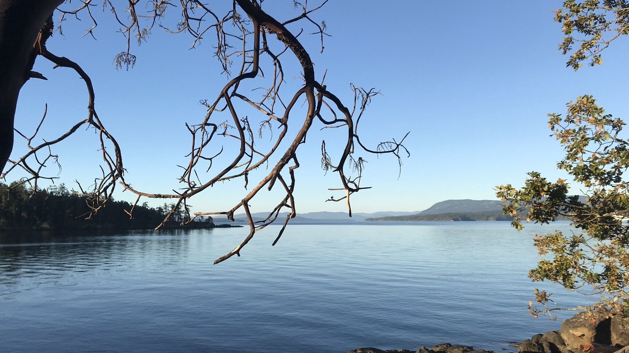Photo of Others in Pender Island