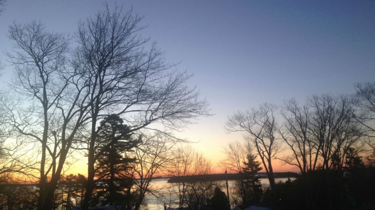 Photo of Others in Falmouth Foreside