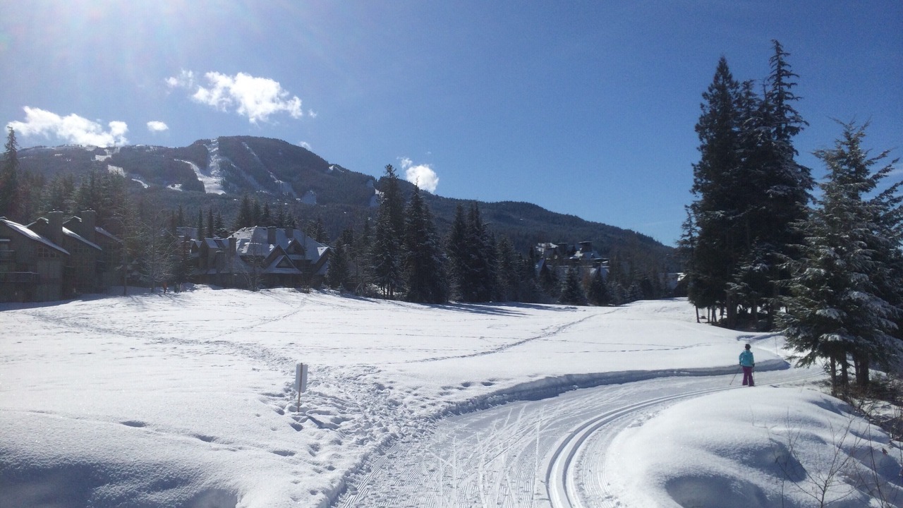 Photo of Others in Blackcomb