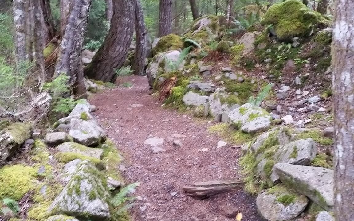 Photo of Others in Britannia Beach