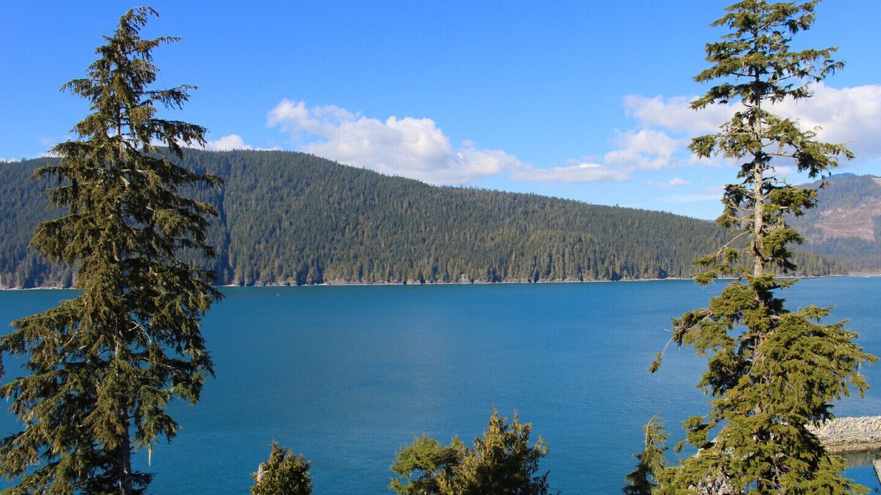 Photo of Others in Port Renfrew