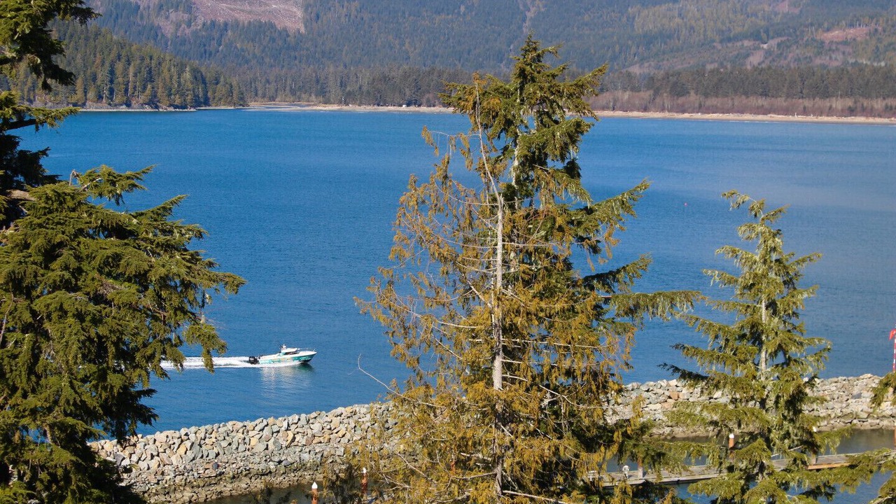 Photo of Others in Port Renfrew