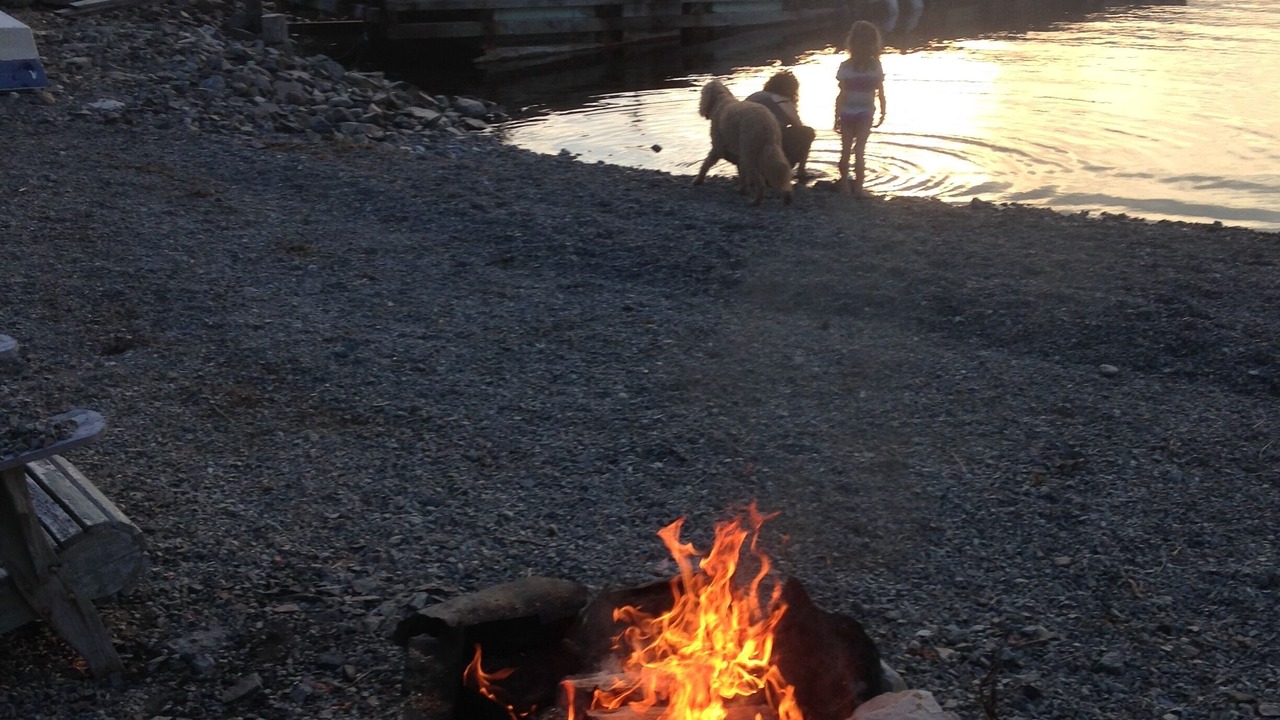 Photo of Others in Tors Cove