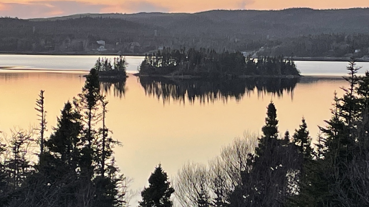 Photo of Others in Tors Cove