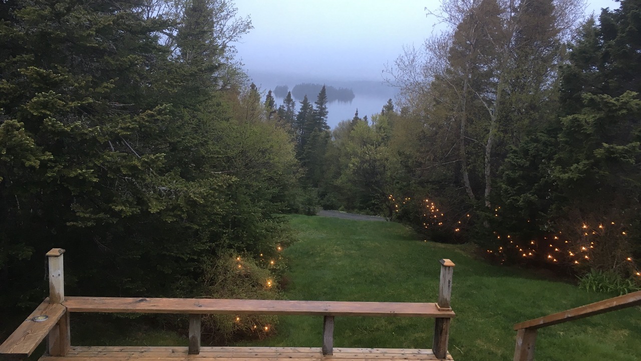 Photo of Others in Tors Cove