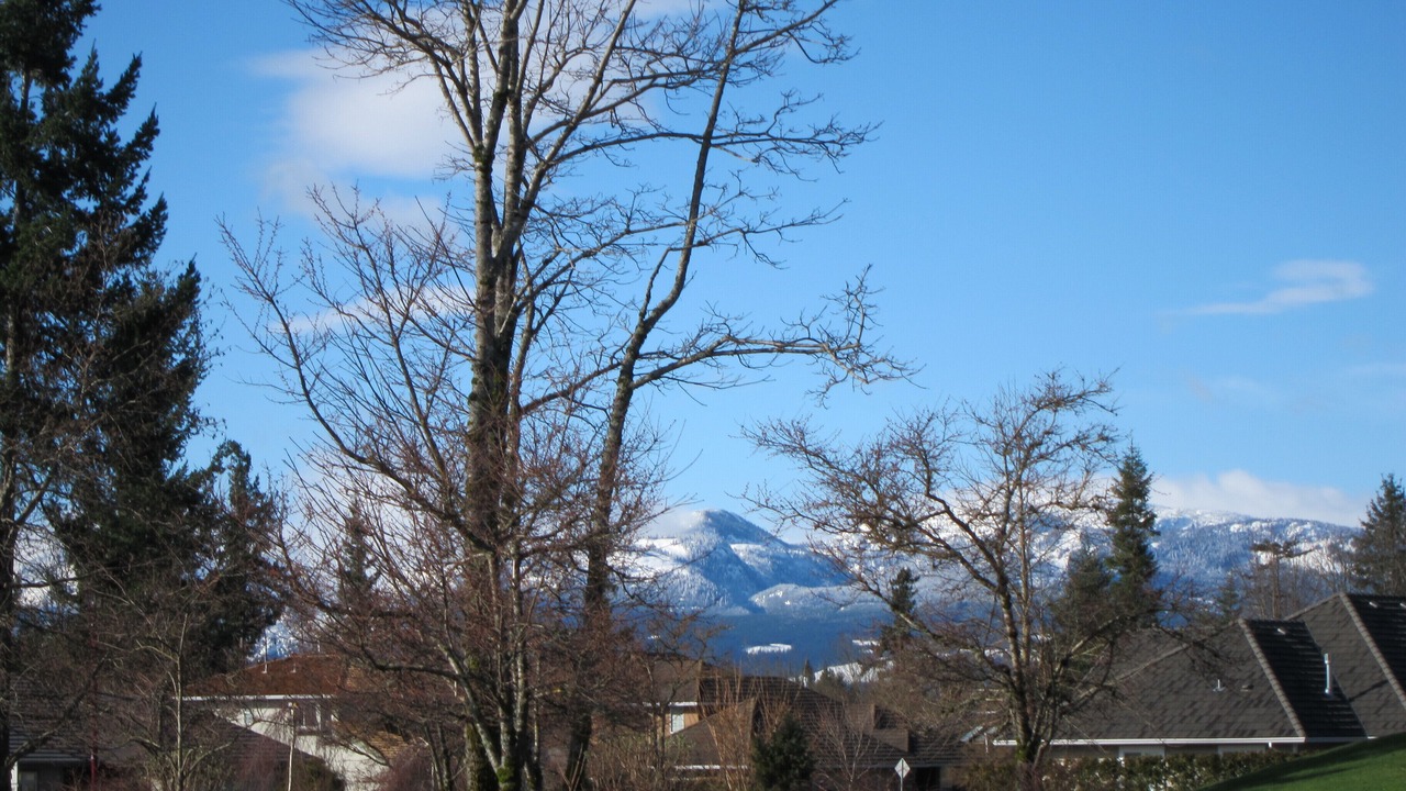 Photo of Outdoor in Comox