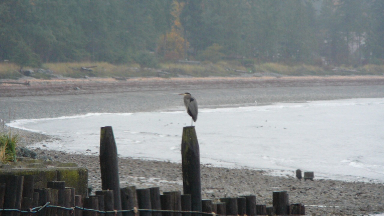 Photo of Others in Regional District of Nanaimo