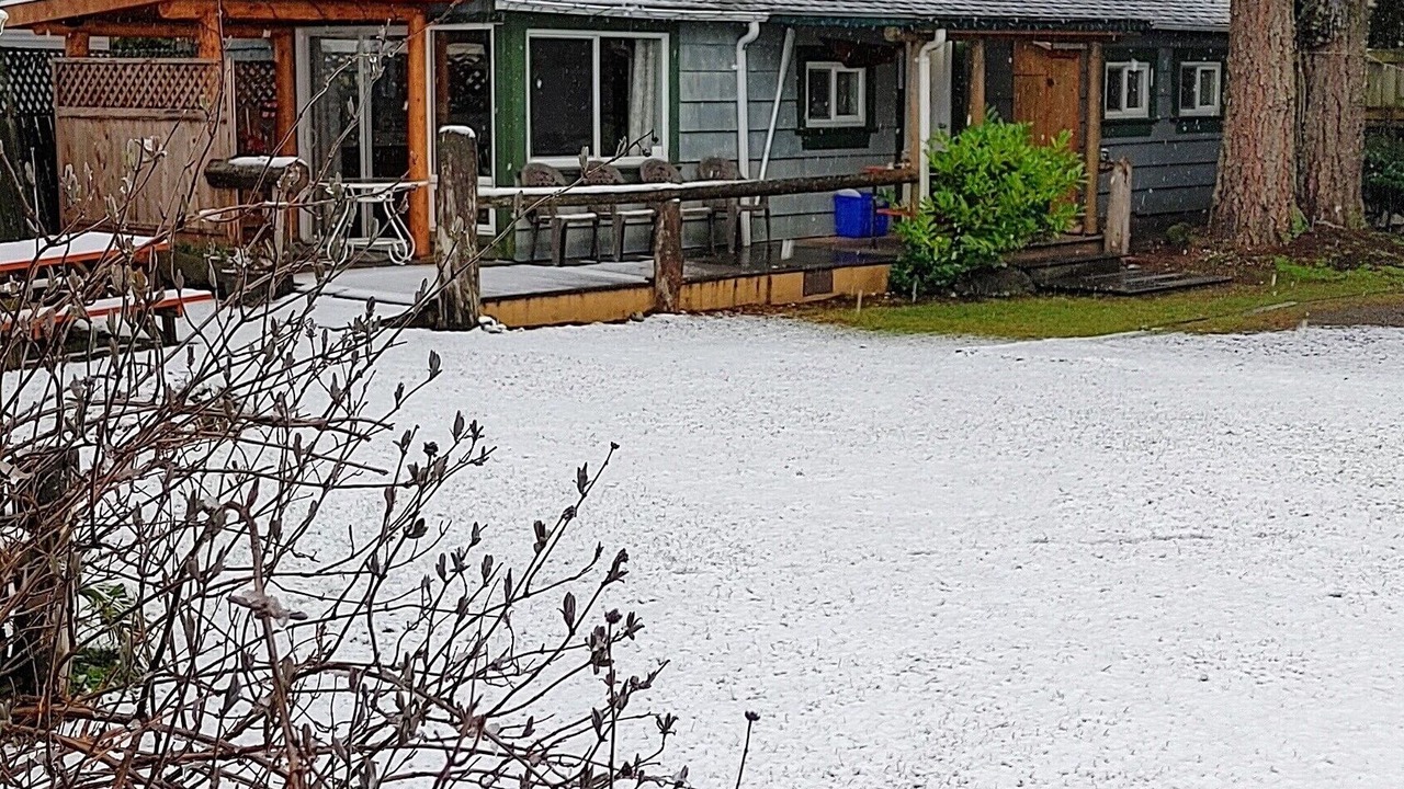 Photo of Others in Regional District of Nanaimo