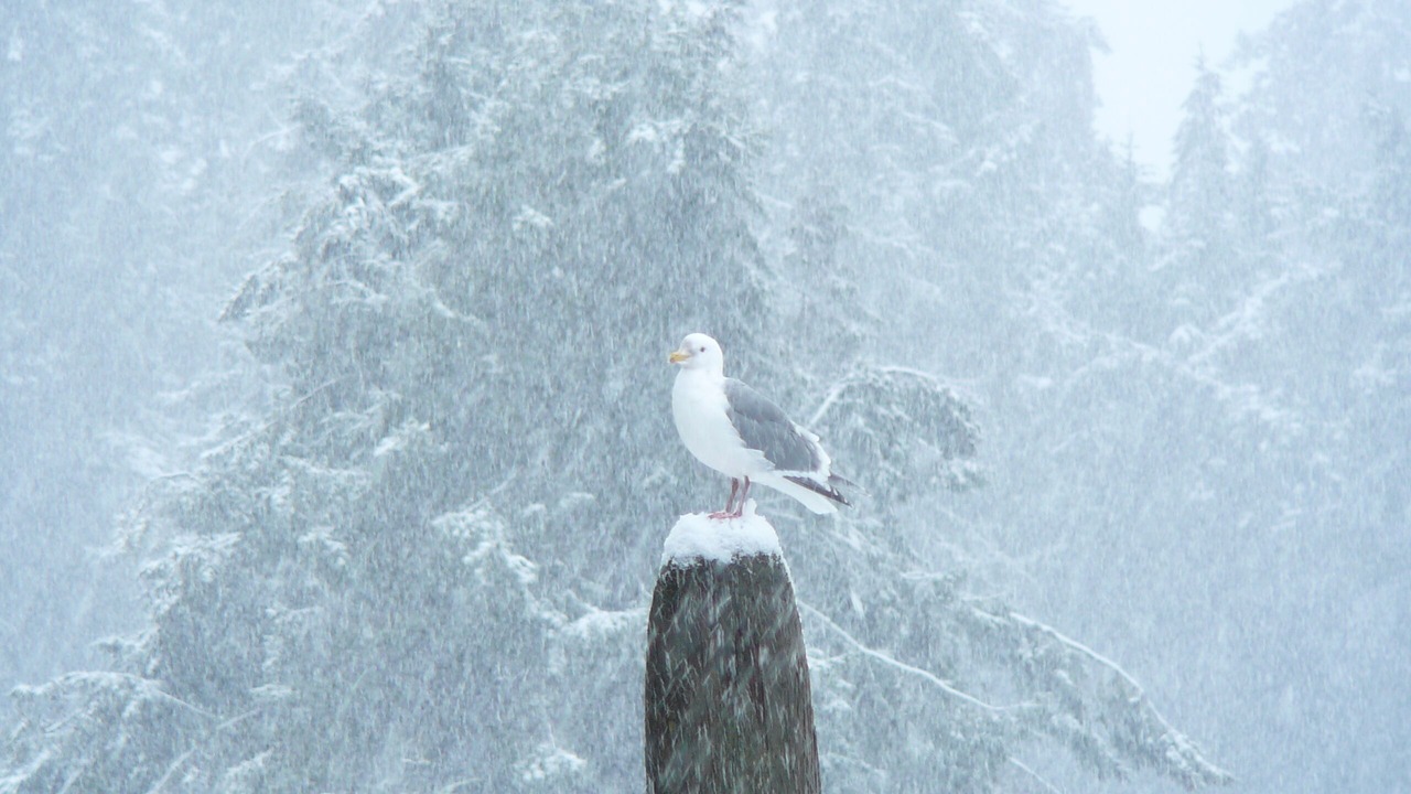 Photo of Others in Regional District of Nanaimo