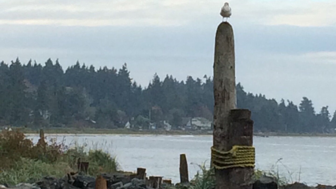 Photo of Others in Regional District of Nanaimo