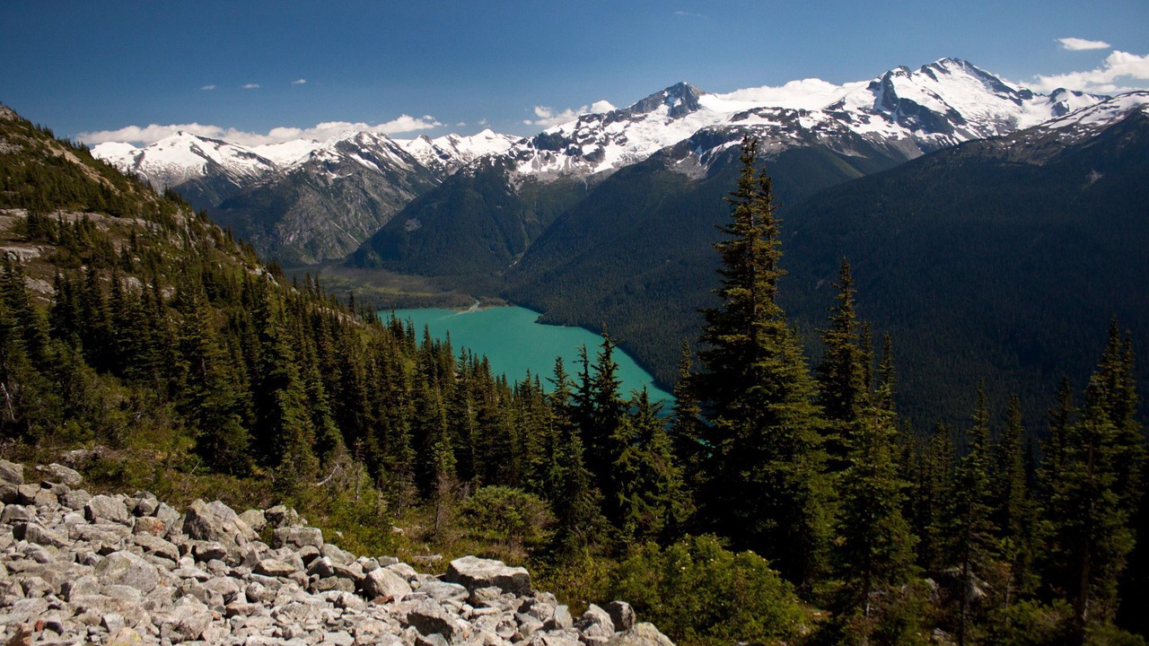 Photo of Others in Whistler Creekside