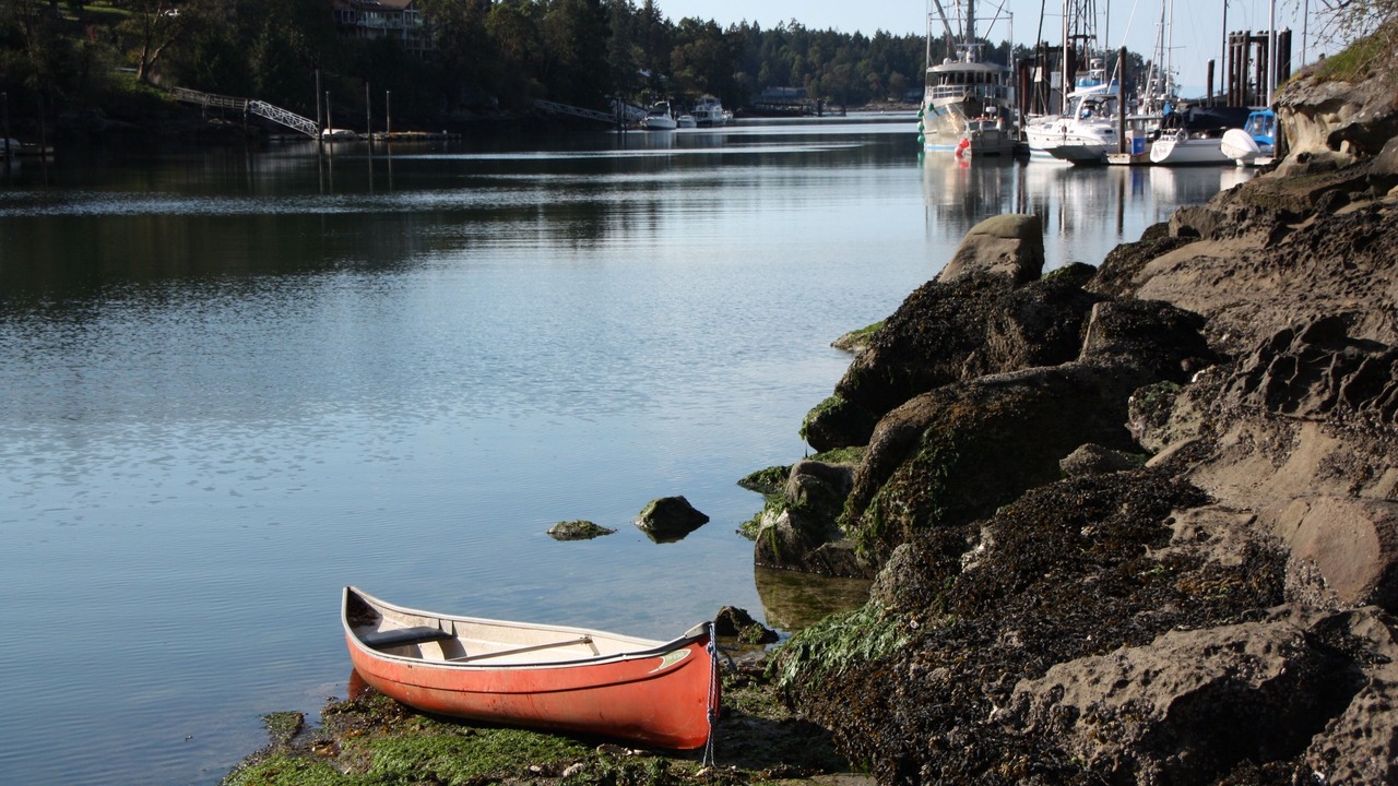Photo of Others in Sturdies Bay