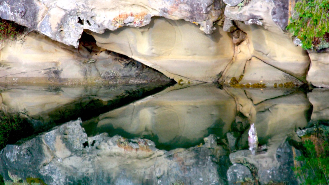 Photo of Others in Sturdies Bay