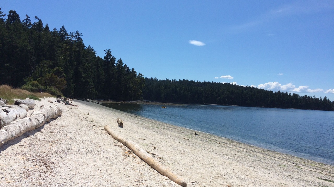 Photo of Others in Sturdies Bay