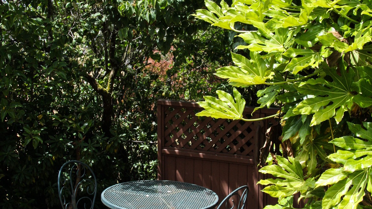 Photo of Others in Saanich West