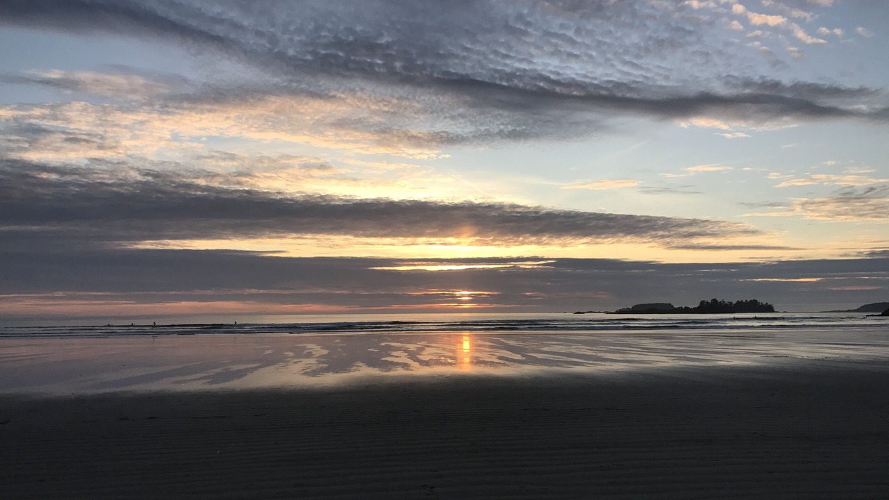 Photo of Others in Tofino