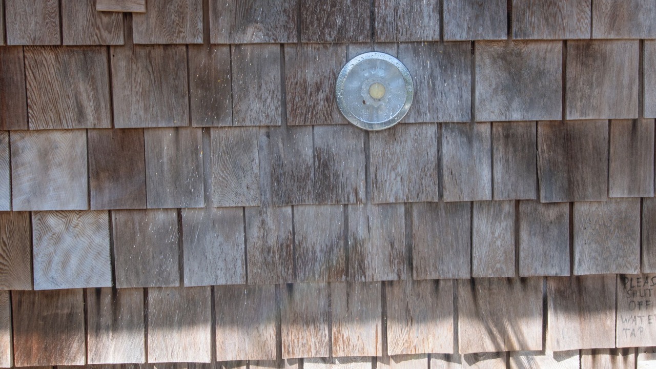Photo of Outdoor in Tofino