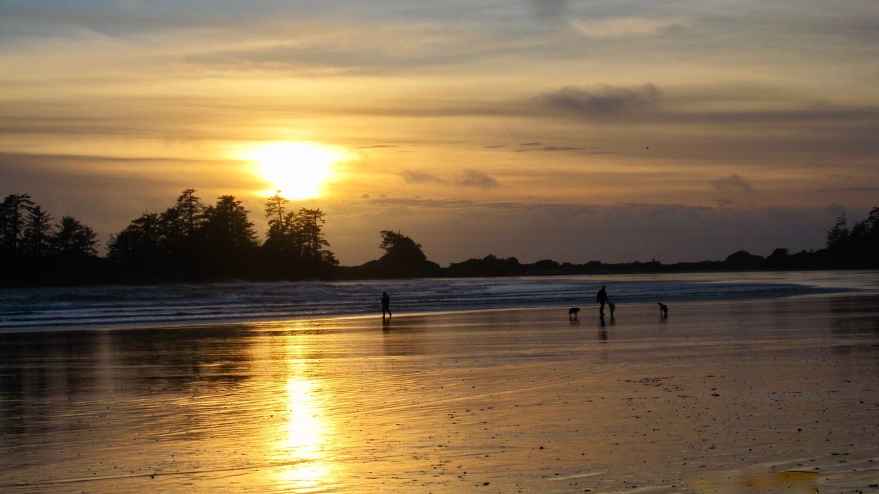 Photo of Others in Tofino