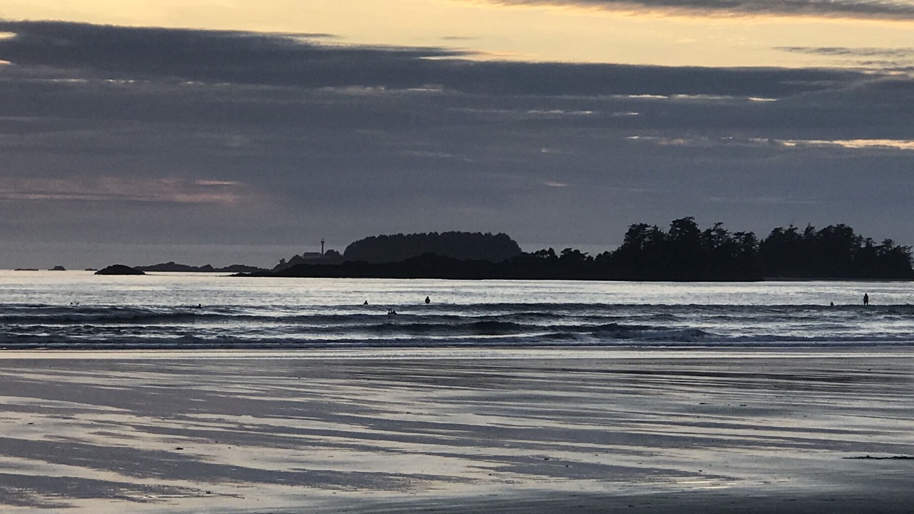 Photo of Others in Tofino