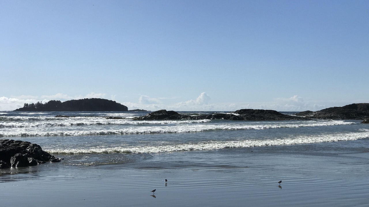 Photo of Others in Tofino