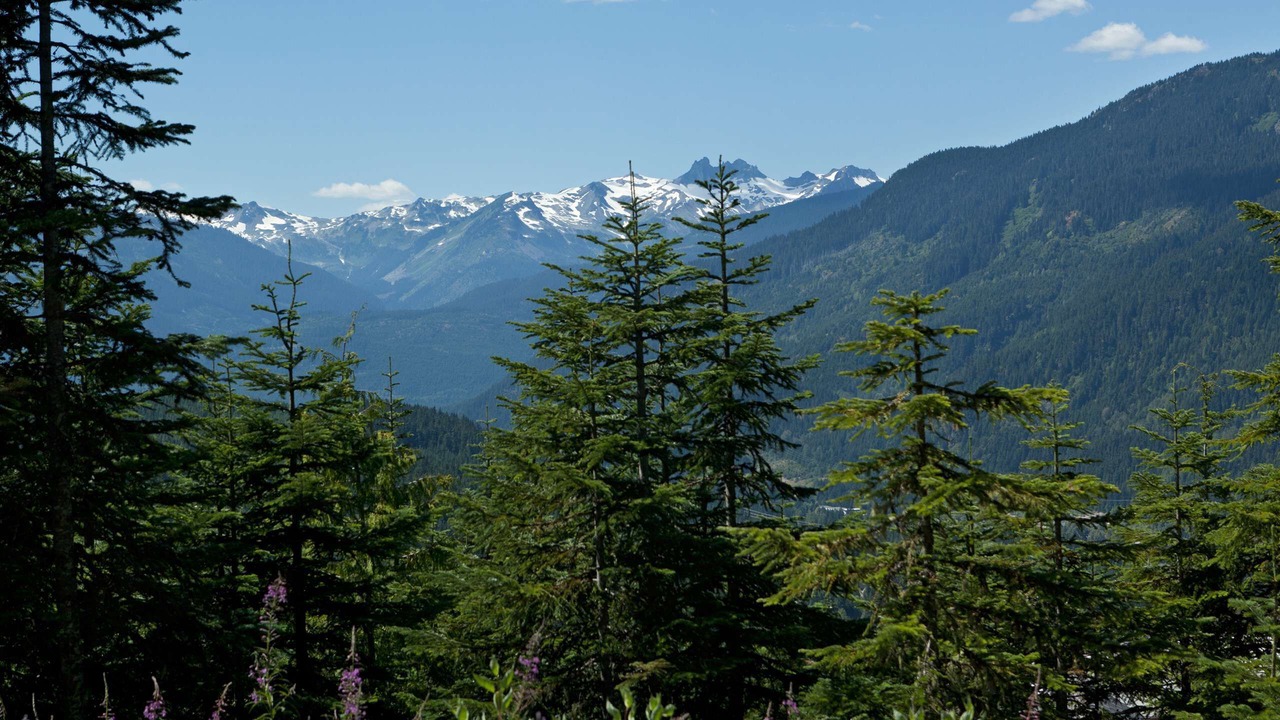 Photo of Outdoor in Whistler Creekside