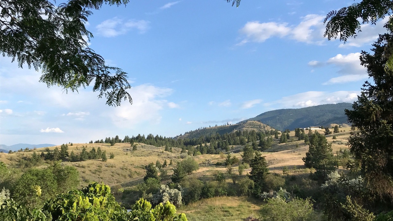 Photo of Others in Okanagan-Similkameen