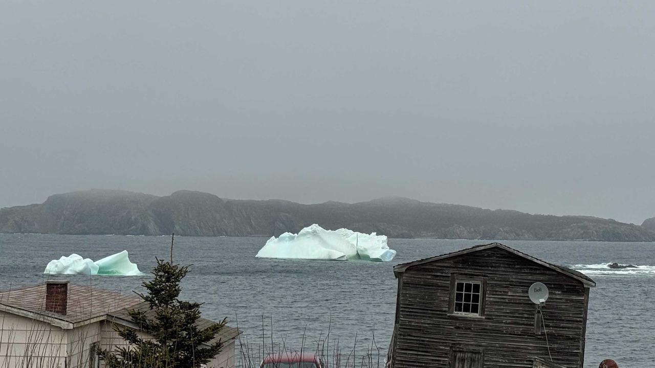 Photo of Others in Twillingate