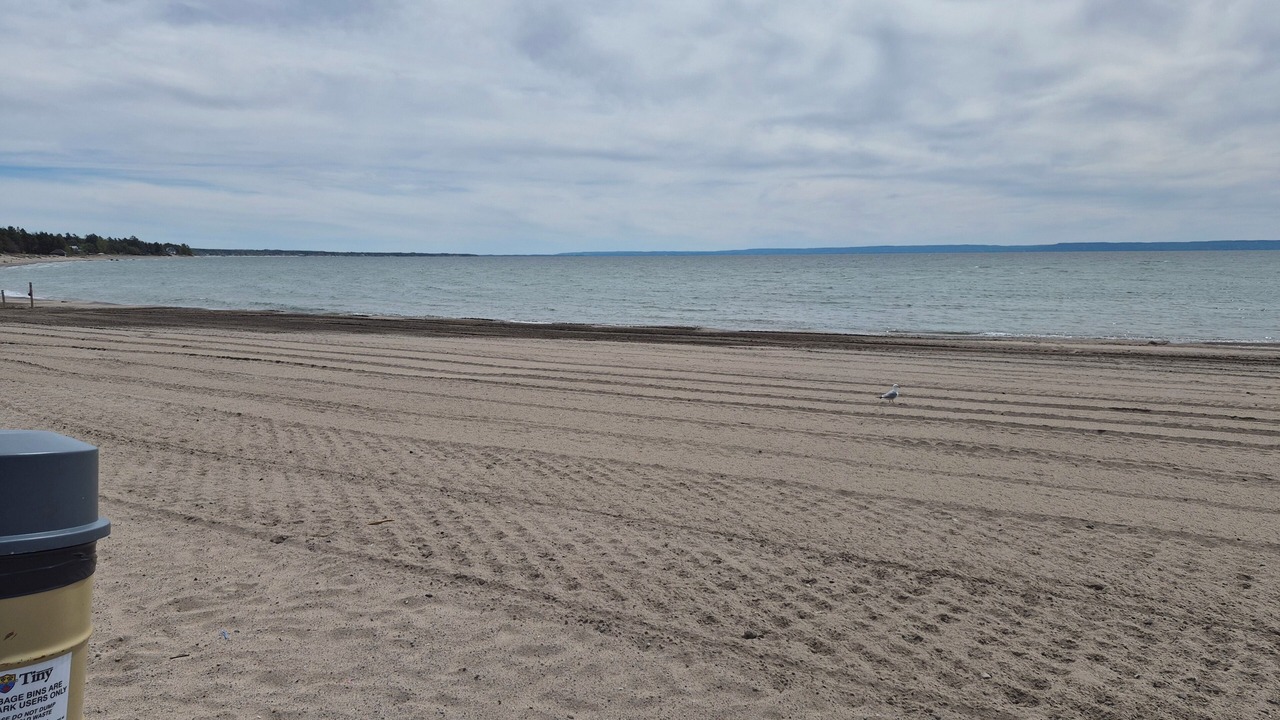 Photo of Others in Balm Beach