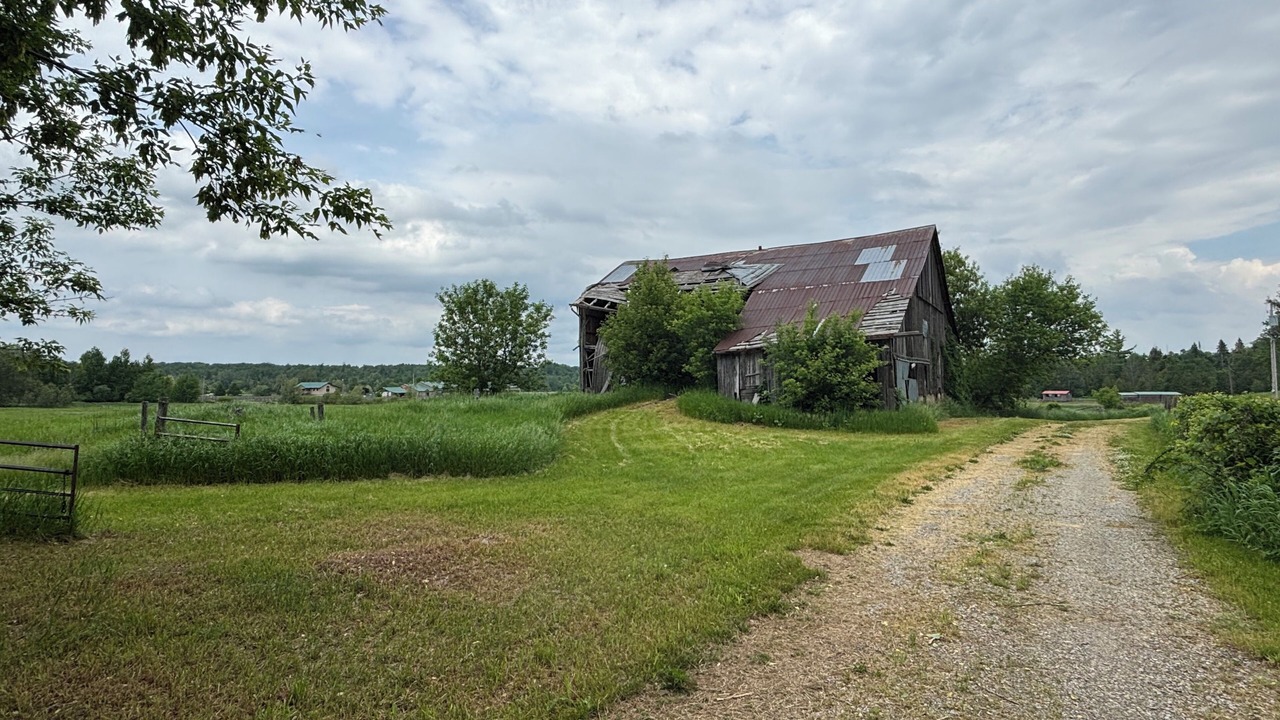 Photo of Outdoor in Adjala-Tosorontio
