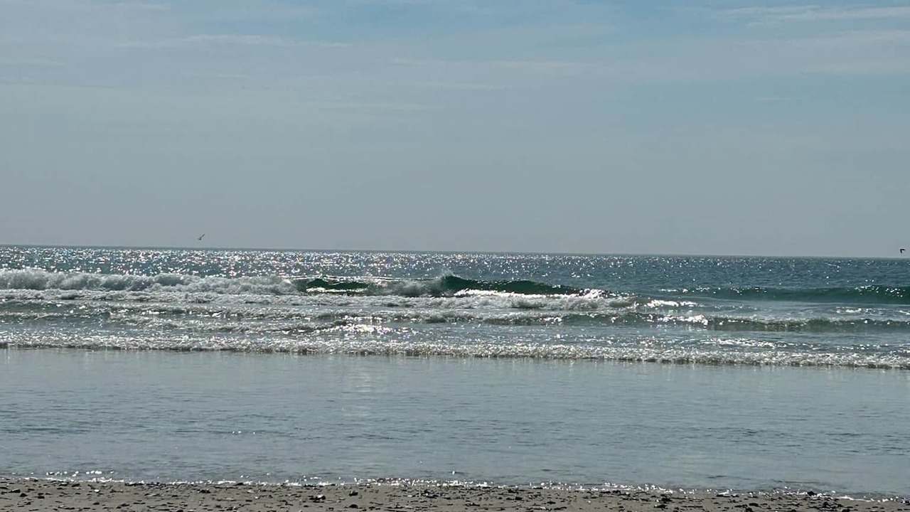 Photo of Others in Wells Beach
