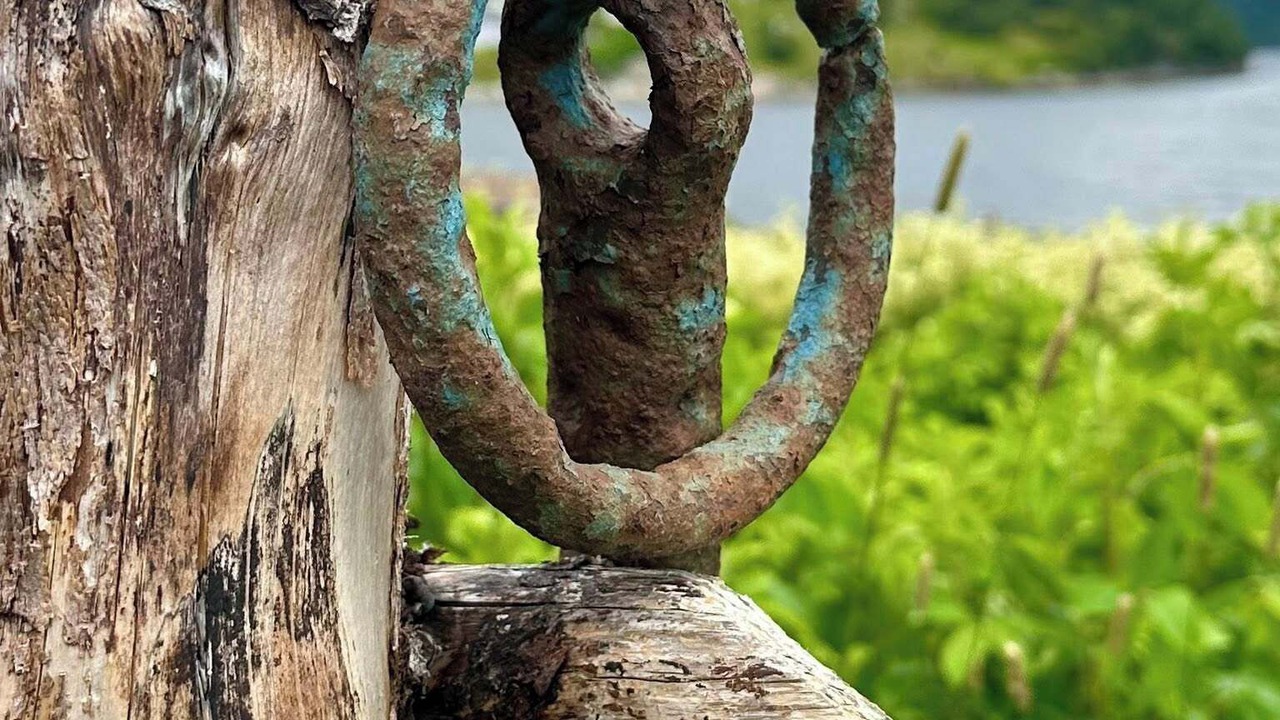 Photo of Others in Terra Nova