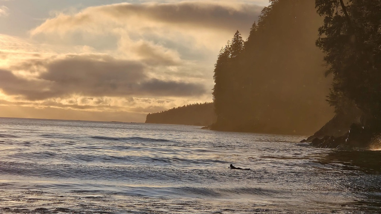 Photo of Others in Port Renfrew