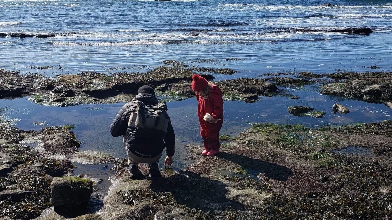 Photo of Others in Port Renfrew