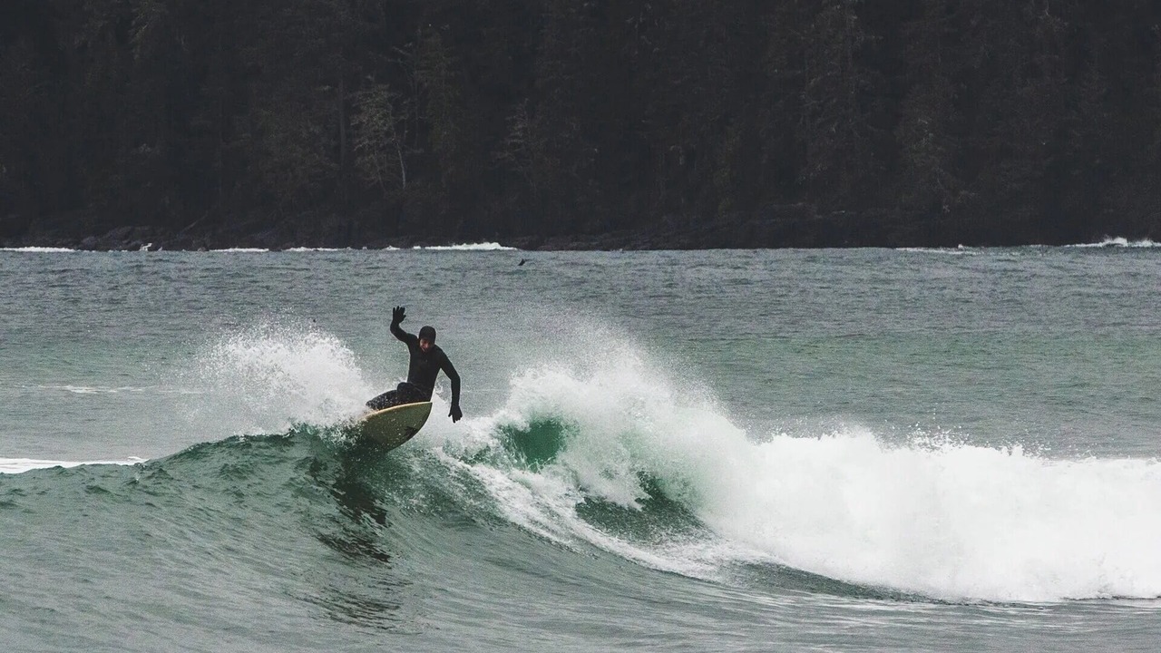 Photo of Others in Port Renfrew