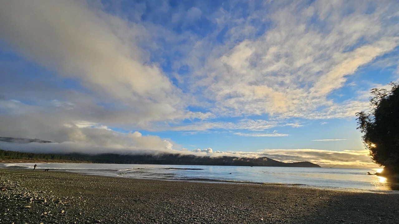 Photo of Others in Port Renfrew