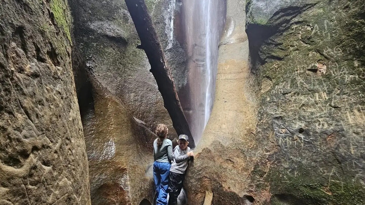 Photo of Others in Port Renfrew